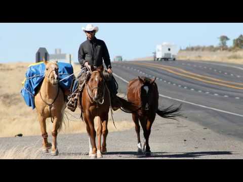 (Rei da pecuária) Ronaldo Viola e João Carvalho
