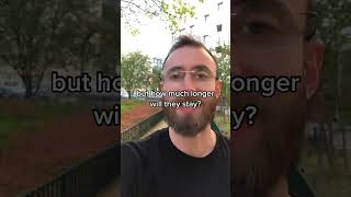 AI content is giving us unsustainable levels of dopamine.