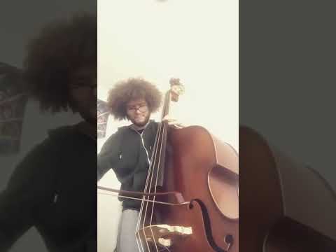 Slam Stewart Arco Solo on Stardust, live with the Lionel Hampton All Stars