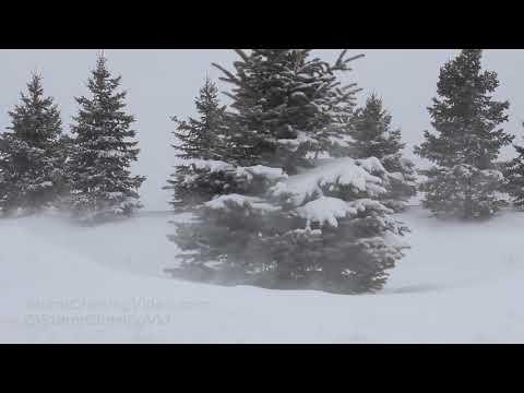 Rice Lake, WI Blowing Snow  and High Winds - 2/24/2019