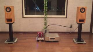 Stacey Kent, It Might As Well Be Spring (Live)