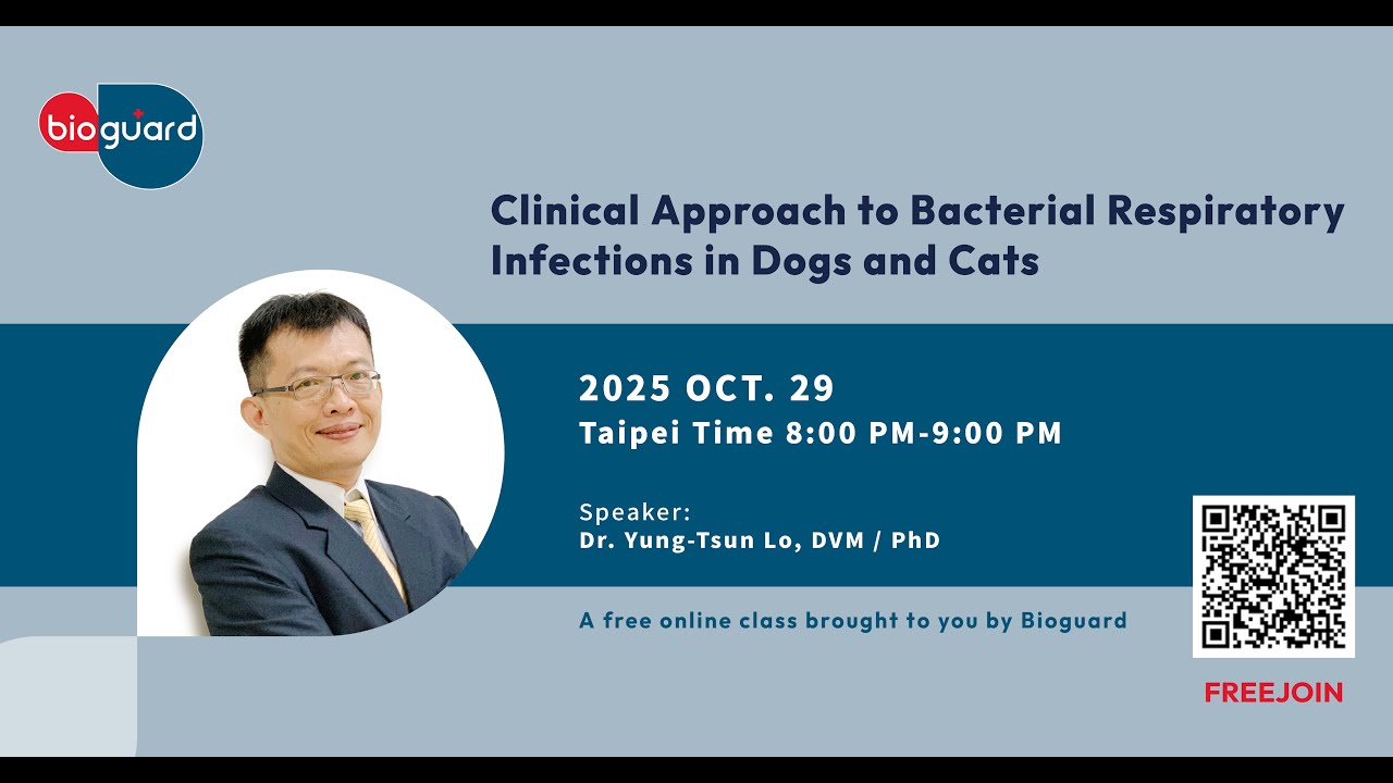 Clinical Approach to Bacterial Respiratory Infections in Dogs and Cats