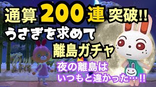 【離島ガチャ】夜の離島ガチャはいつもと違った…‼【あつ森】