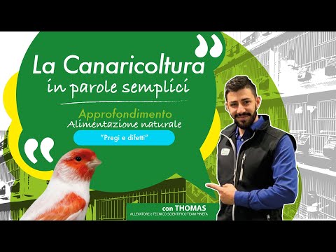 , title : '8 - La canaricoltura in parole semplici - ALIMENTAZIONE NATURALE PRO e CONTRO'