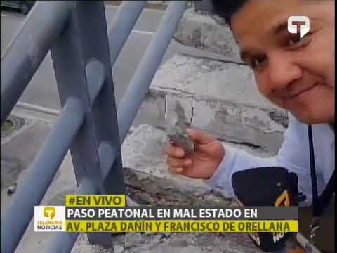 Paso peatonal en mal estado en av. Plaza Dañín y Francisco de Orellana