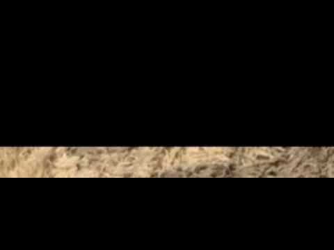 Big Murda - Nike remix