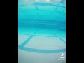 Jaws