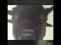 Hotline Bling Drake Bad Quality 1 Hour