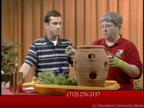 Container Gardening Techniques - YouTube