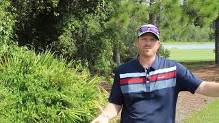 Transform Your Golf Swing with RotarySwing.com