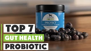Best Probiotic for Gut Health: Top Picks for 2024