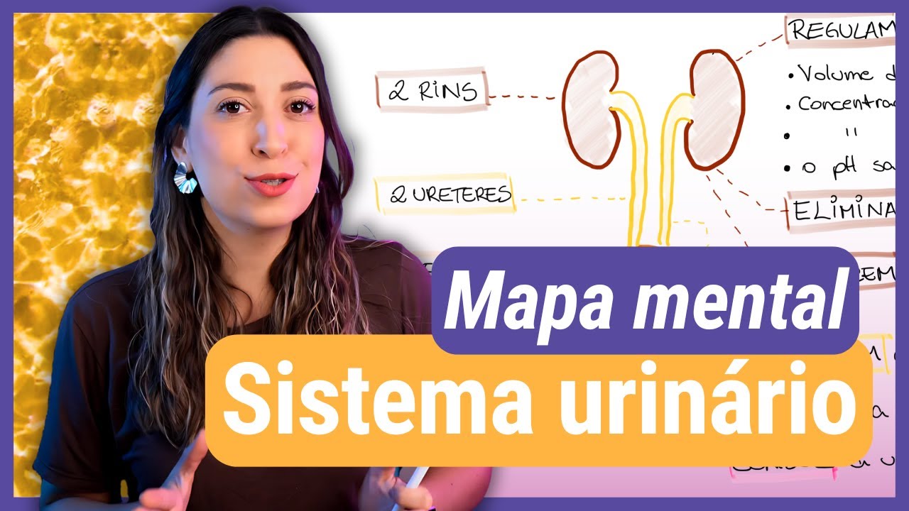 Faça um MAPA MENTAL junto comigo! SISTEMA URINÁRIO