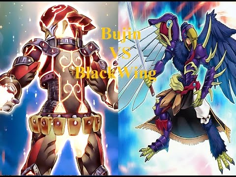 [Yutopia-Duel] Bujin Zoodiac Lightsworn vs BlackWing!
