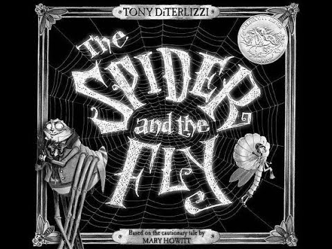 Spider & The Fly