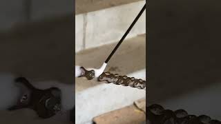 Removing rust from bike chain #shorts