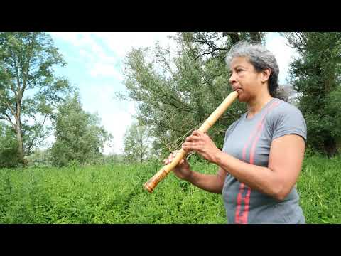 Music in Nature | OMOIDE (Souvenir) | Shakuhachi solo & Birdsongs