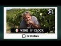 Dit moet je doen voor een glas wijn ? | Familie Geurts Italië | Ik Vertrek Even Weg