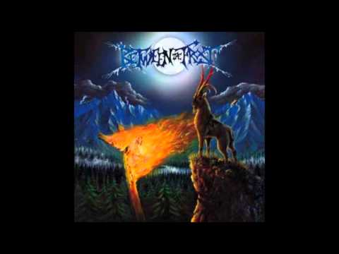 Between The Frost-Immortalized Darkness