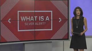 What is a Silver Alert