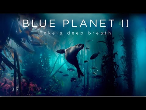 BBC 'Blue Planet II' Trailer (Re-score)