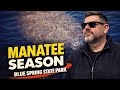 8 Things You Should Know Before Visiting The Manatees At Blue Spring State Park