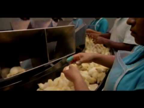 Lagrimas De Oro video