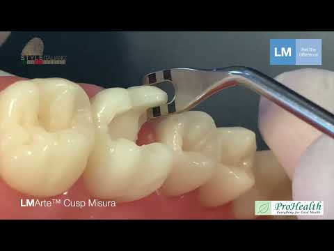 LM Arte Cusp Misura - ProHealth