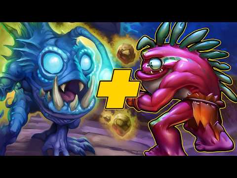 There’s a New Murloc Combo And It Rules | Dogdog Hearthstone Battlegrounds