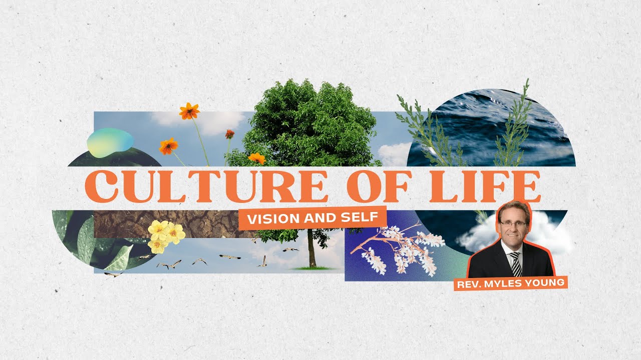 Vision and Self