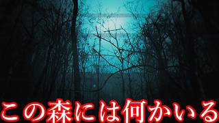 【ゆっくり実況】奇妙な噂がある森に出現する「謎の青い光」の正体を調査するホラゲー【The Strange Lights】