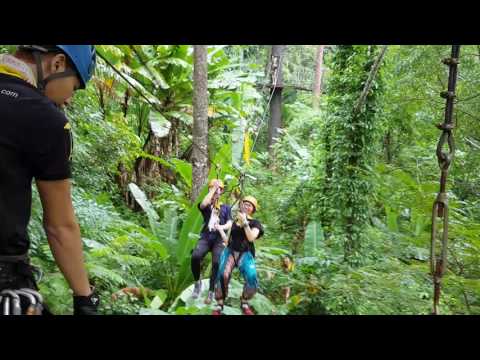 Jungle Flight 12 - Yan + Koo