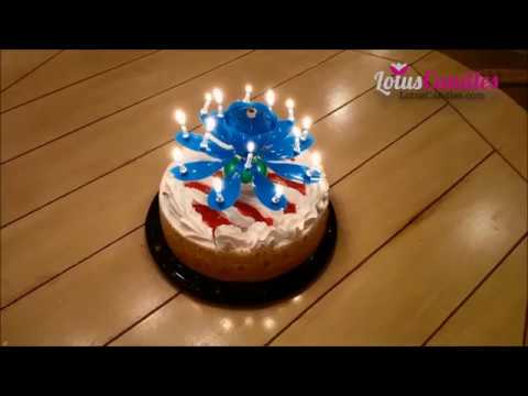 Lotus Candles - The Ultimate Birthday Candles
