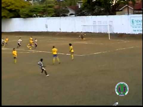 PERDIGÃO 2011
