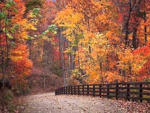 Pete Fountain - Just A Closer Walk With Thee