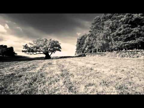 Marcus Schossow - Mr. White