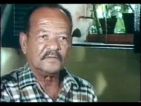 Fala Mangueira - Documentário 1981