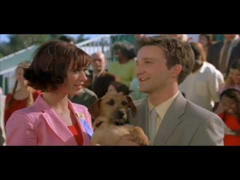 Garfield 2004   Odie wins the dog show