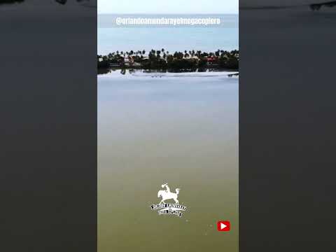Varias vistas de mi hermoso pueblo Boca de Uchire #venezuela #anzoategui #bocadeuchire #shorts #fyp