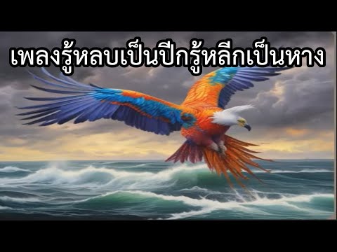 ��ԡ���ʹ٤�Ի�Դ���