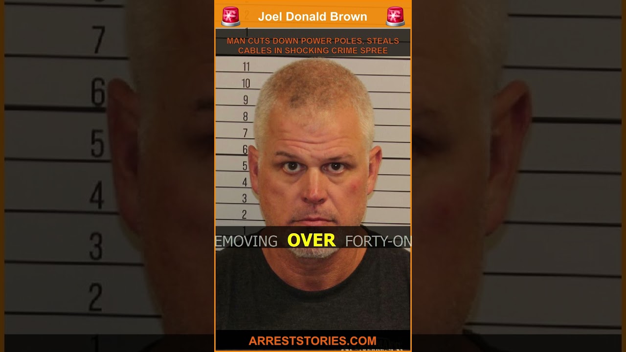 MAN CUTS DOWN POWER POLES, STEALS CABLES IN SHOCKING CRIME SPREE