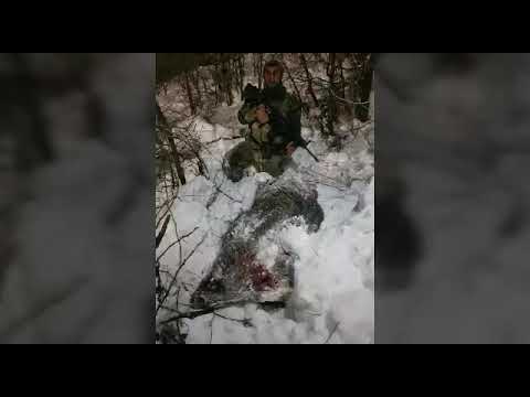 Şırnak Uludere Andaç