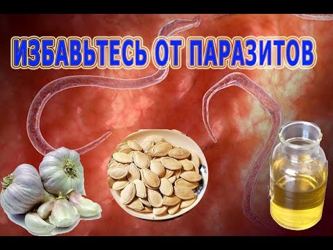 Da conservatore di parassiti Come controllano la persona per vermi