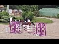 Jument 6 ans par Andiamo Semilly x L'Arc de Triomphe