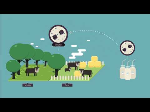 [OIE:CMU-UMN] Zoonoses