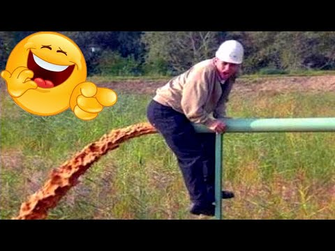 Faze comice 😄 Dorel 😄 Incearca sa nu razi 😄 Mori de ras 😄 Pisici amuzante 😄 Citeste descrierea