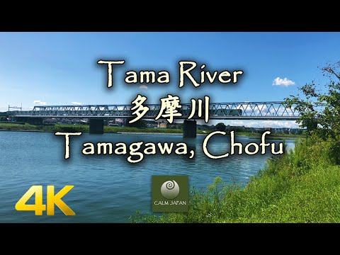 【4K】Tama River (多摩川) - Tamagawa, Chofu