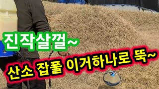 진작살껄~잔디제초제 이거하나로 뚝~잔디제초제,잔디관리,산소관리,잔디제초제 살포시기,살포방법,잔디제초제 종류