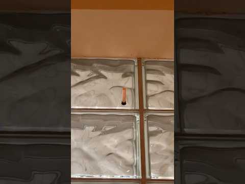 Day 840: it didn’t fall yet