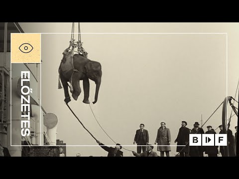 Államcsíny zenei aláfestéssel trailer