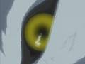 Wolf's Rain - Laughing as I pray(Kiba centric)